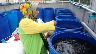 Budidaya Lele dalam Drum di Tengah Kota Yogyakarta