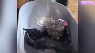 Ne riez pas seul