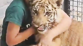 animal and human friendship