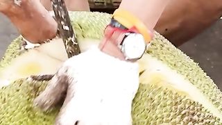 Jackfruit foods eat