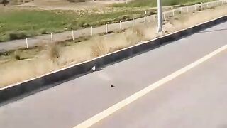 Pindi Ghib Interchange CPEC/beauty of pakistan/old lata song/SohailT22vlog