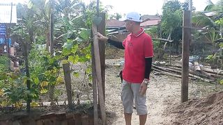 #LELE CATFISH KOLAM KERAMBA@MANGGOPOH