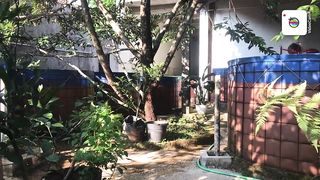 MESIN AERATOR APAKAH HARUS DEKAT DENGAN KOLAM,