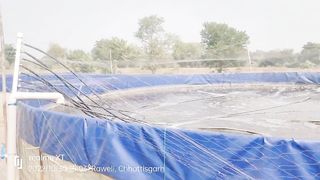 FISH FARMING IN TANK CATFISH AND TILAPIA