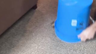 Man catches something in a bucet!