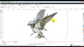 Birds Logo