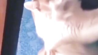 Amazing ???????????????????? ???????? videos funny videos ???????? entertainment