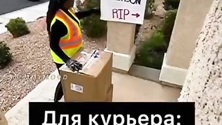 TikTok Videos 36