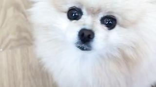 TikTok Videos 47