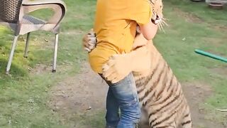 KID PLAYING WITH A TIGER ON REELS.