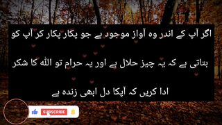 اگر آپ کے اندر وہ آواز موجود ہے جو