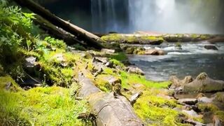 One of new favorite spots #naturebeauty
