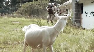 Soldiers 2