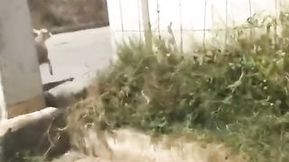 Partie 2/2 qui était assez demander ????????