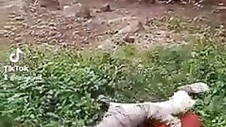 LOVE GONE WRONG IN THE BUSH