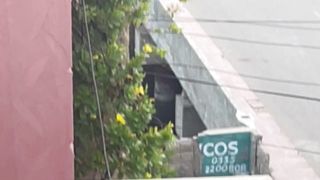 Crow on Rooftop