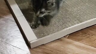 Stepfather claws