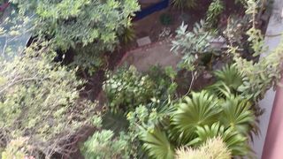 Virtual Lawn 2
