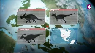 Tyrannosaure VS nothronychus (dinosaures) - ZAPPING SAUVAGE.