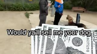 Would you sell me your dog for 100 dollars