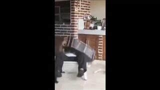 TRY NOT TO LAUGH ???? Best Funny Videos Compilation ???? Memes PART 130