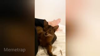 THE FUNNIEST TIK TOK MEMES Of June 2023 ???? | #1 4
