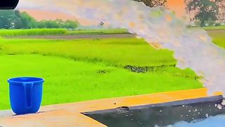 tiktokdownload.online_1688214250110.