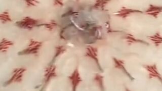 #Food  #fish