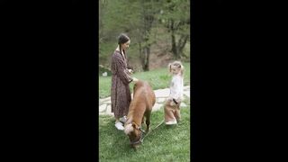 Beautiful Animals Ever 2023