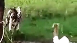 THE SUNE OF CAWO  is verry danger