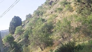 Kulgili 3