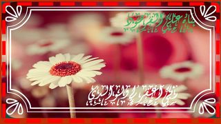 تلاوة هادئة لتلاوة هادئة