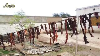 TO SAVE MEAT WITHOUT FRIG..