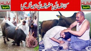 Katta Qasai Eid Program,Funny | Eid ul Azha,3rd day | Pathan Sasta Qasai | Humtez tv