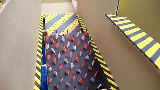 The Best Hamster Challenges.