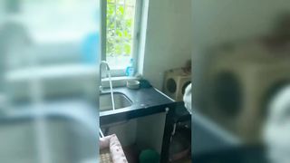 Try Not to Laugh???? Funniest Dogs and Cats Tiktok Compilation 3