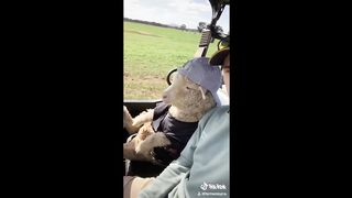 ANIMAUX DRÔLES nous fera RIRE extrêmement dur - Funny DOGS et CATS Compilation 6