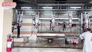 Qurbani in Pakistan