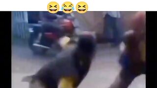 Best of Africans