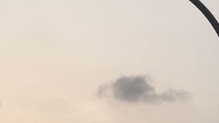 Crow in Defiance