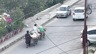 Garbage Collectors