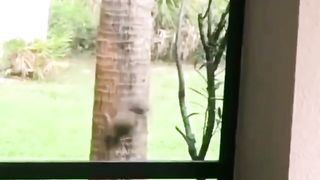 1000 view tercapai, cek video kami