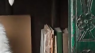 Chat intelligent 3