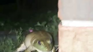 Cat mistakenly born as frog ????