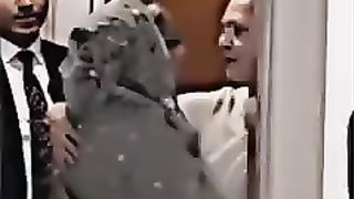 Political 2