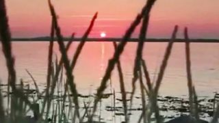 Beautiful nature 25
