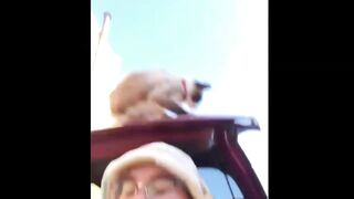 Cute And Funny Cats Videos Compilation  | Funny animals videos