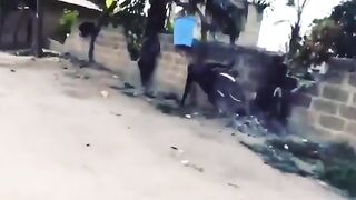 Le vélo, le sceau d'eau et le mur