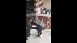 TRY NOT TO LAUGH ???? Best Funny Videos Compilation ???? Memes PART 1 2