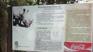 RINOCERONTE,,,rhino